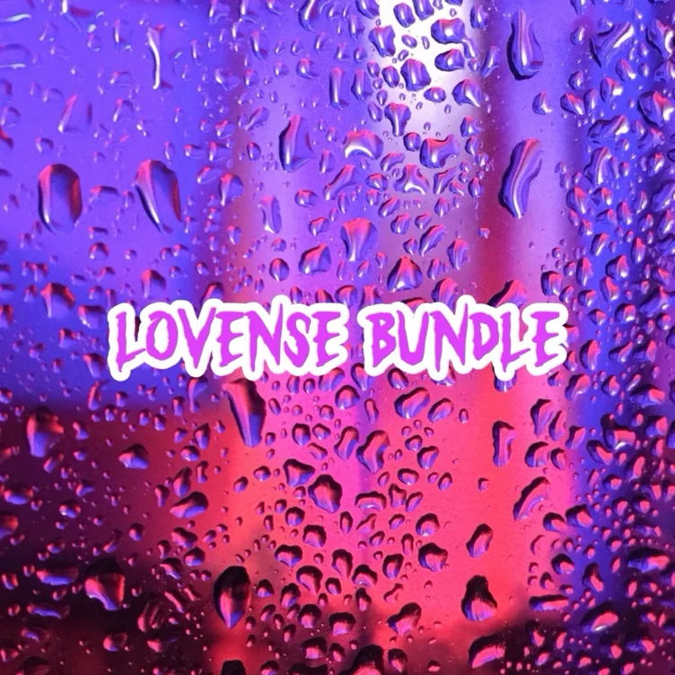 Lovense Bundle