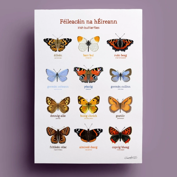 Féileacáin na hÉireann