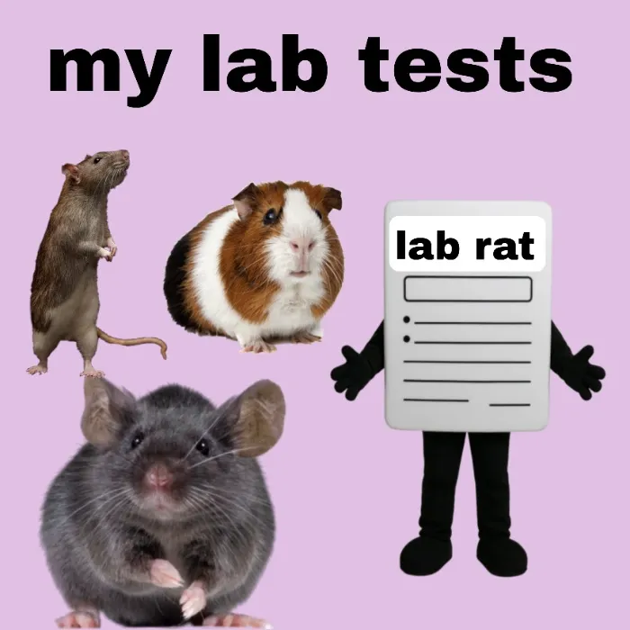 €47 my lab experiments 
