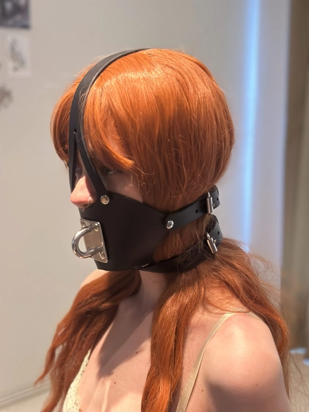 Muzzle gag with eye plate attachment