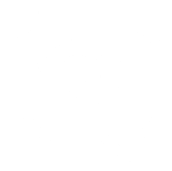 Lovehoney Lace Silhouette Corset