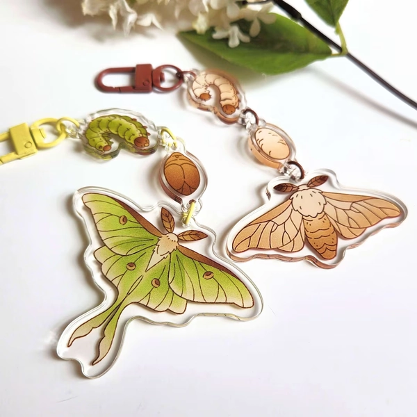 Luna Moth Silk Moth Life Cycle Acrylic Dangle Charms - Etsy