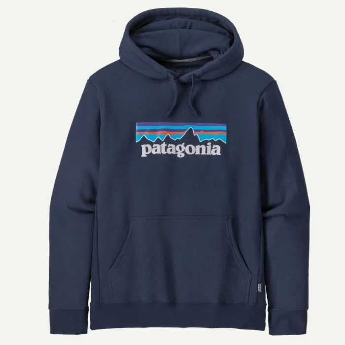 Patagonia Pullover 