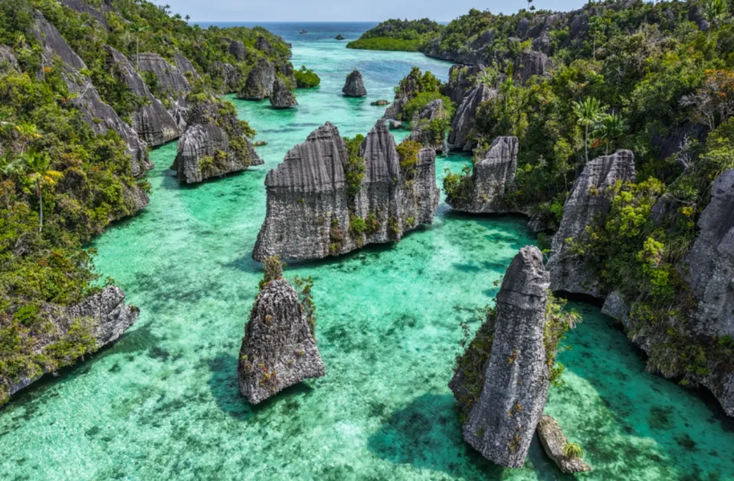 Indonesia Travel Fund - Starlink Mini