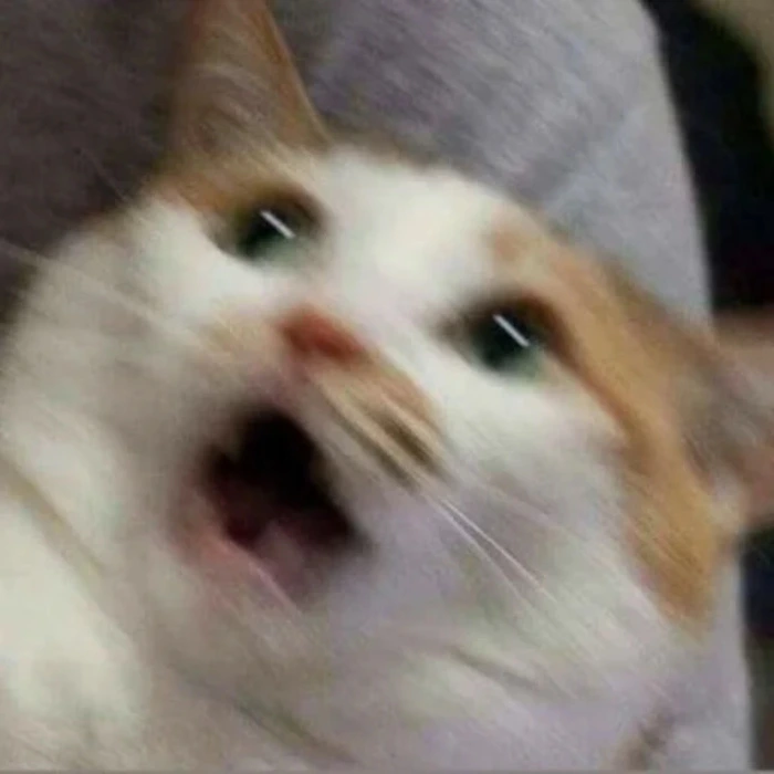 Forza Horizon 6 Premium Edition