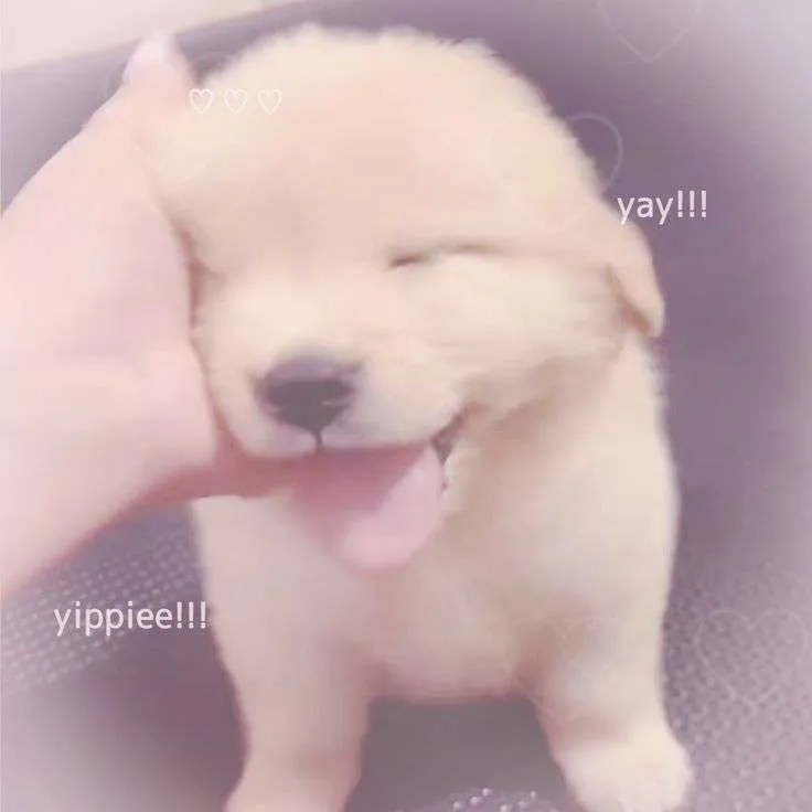 Arf thanks you!