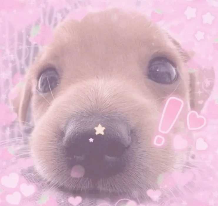 All the kisses for you❤️💕