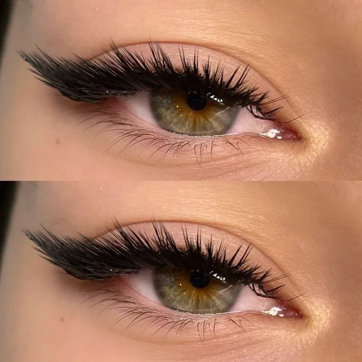 Eyelashes 