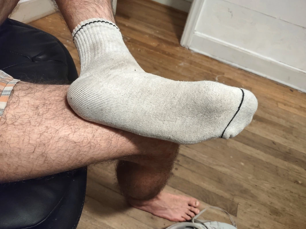 Socks (65)