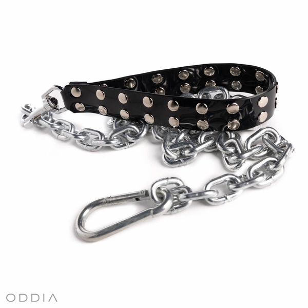 Long chain leash, medium