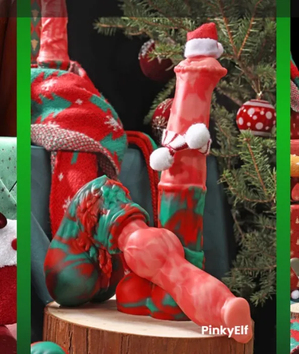 CONOLA - M / Color Scheme