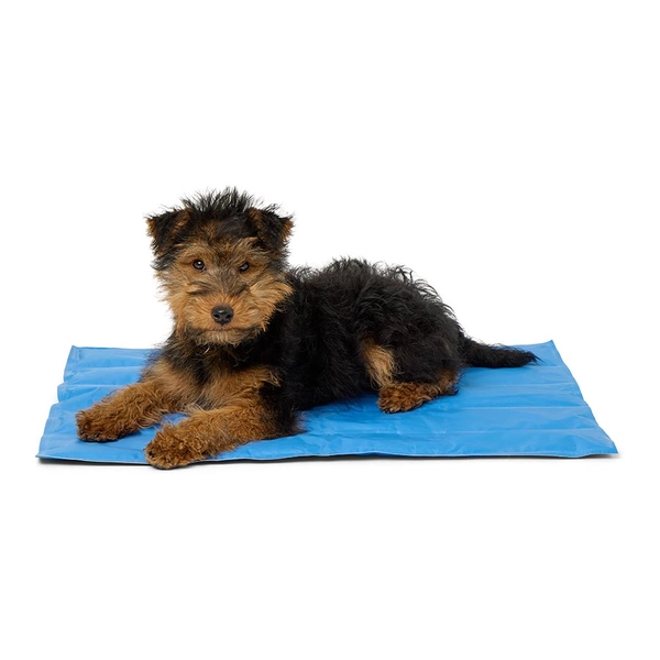 Pets at Home Cooling Mat Blue | Pets