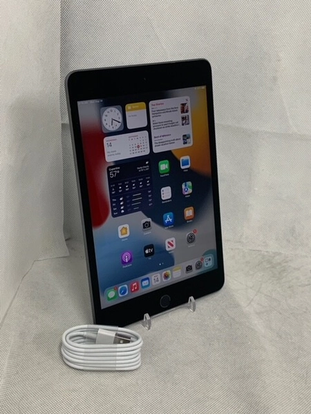 Apple iPad Mini (5th Generation) Wi-Fi, 7.9in 64/256  Gray/Silver/Go<wbr/>ld *Grade B*
