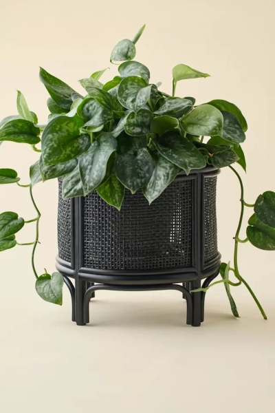 Rattan 12" Planter