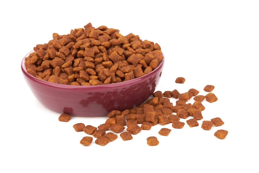 Chicken Pillow Cat Treats