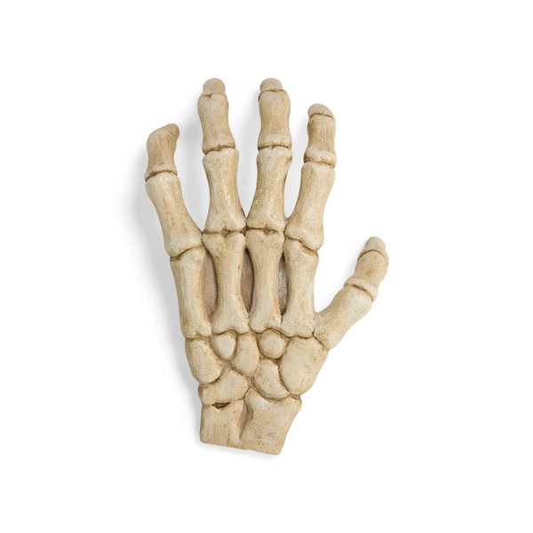Petco Halloween Skeleton Claw Reptile Habitat Hideaway, White, Large