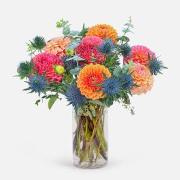 Eloise Bouquet, delivered