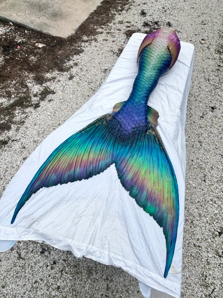 Signature Silicone Mermaid Tails — MerNation Studios