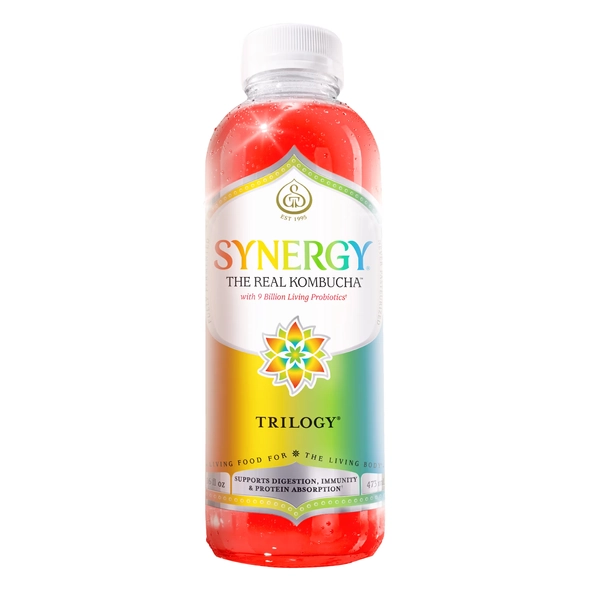 GT's Synergy Trilogy Raw Kombucha 16 fl oz - Walmart.com