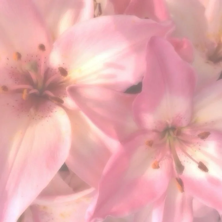 111