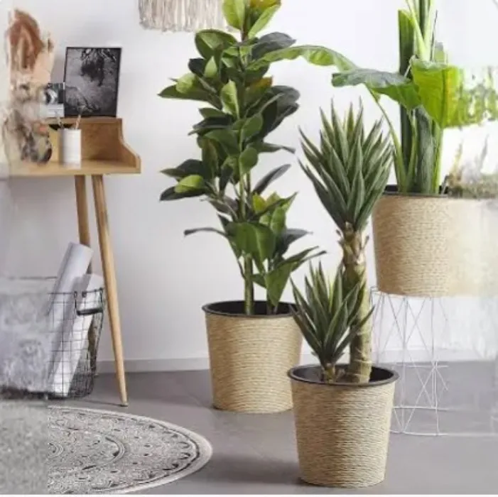 Plant set