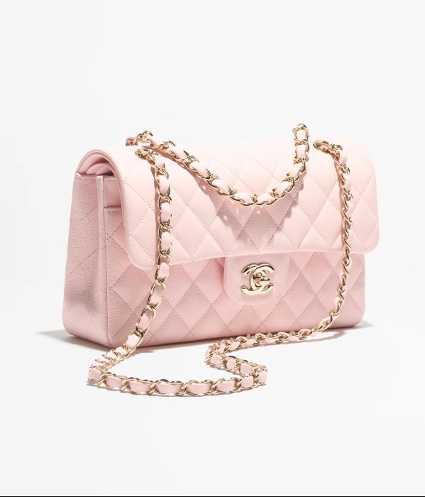 Chanel handbag 👜 