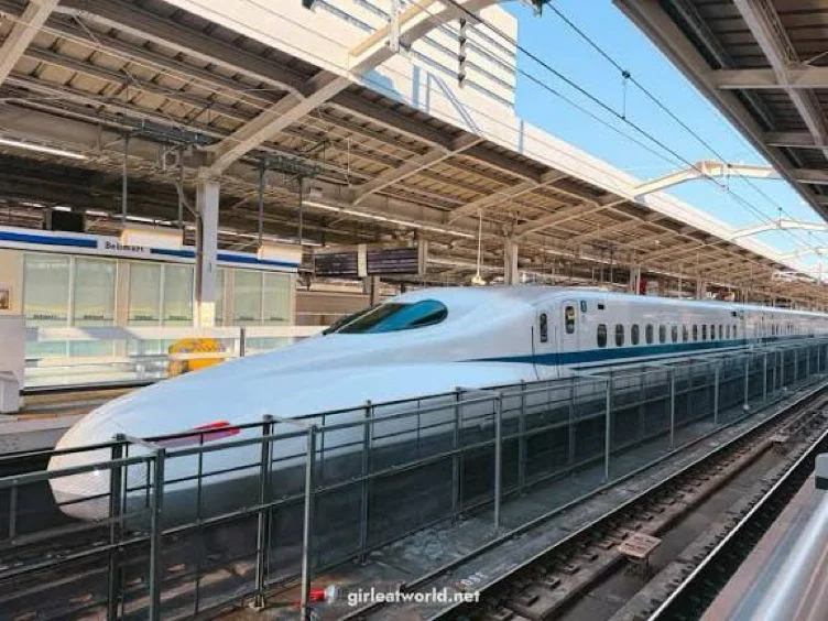 Bullet Train Week Pass 