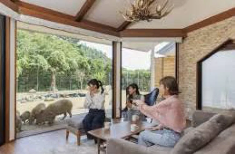 2 Nights at the Capybara Hotel in Japan 