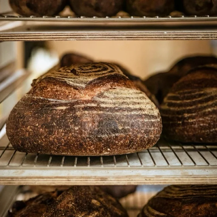 Sourdough Bread Class