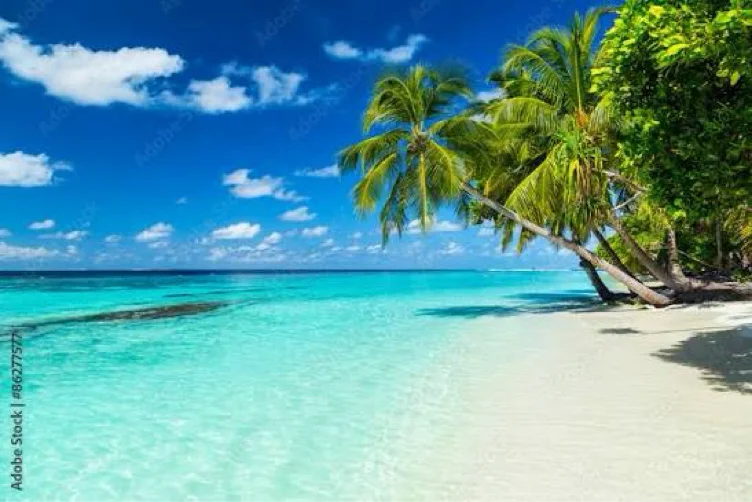 A Getaway Somewhere Warm 