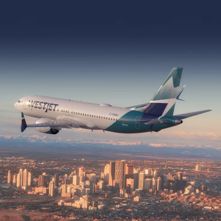 Flight Home for Christmas 