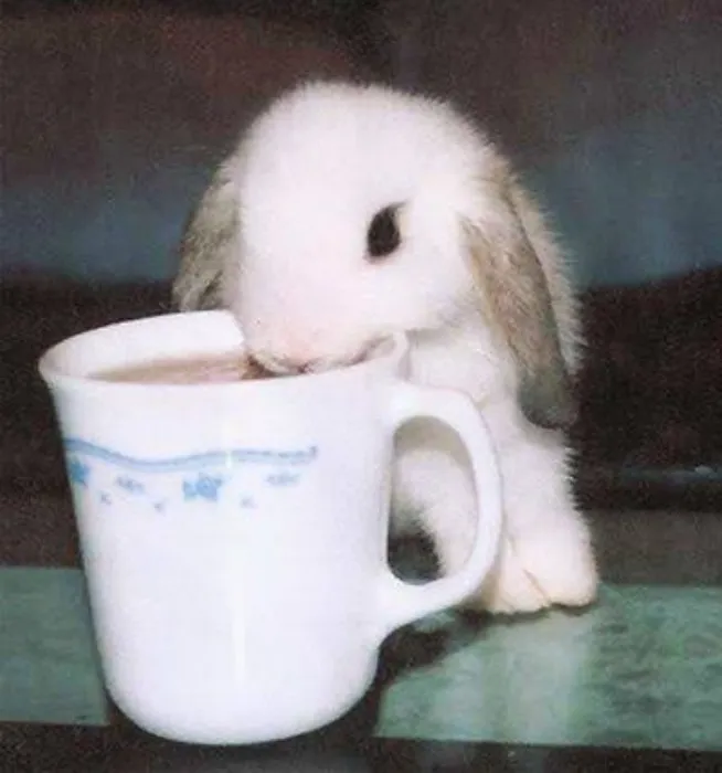buy me coffee! ♡