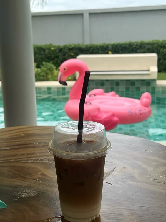 Morning Iced Coffee ✨