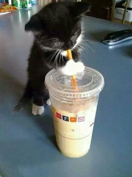 Buy me a coffee :3
