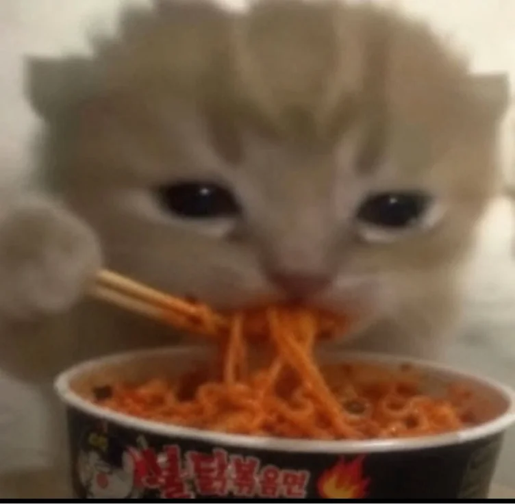 Buy me dinner :3