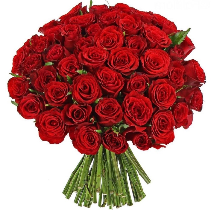 Bouquet di 50 rose rosse: Esplosione d'Amore