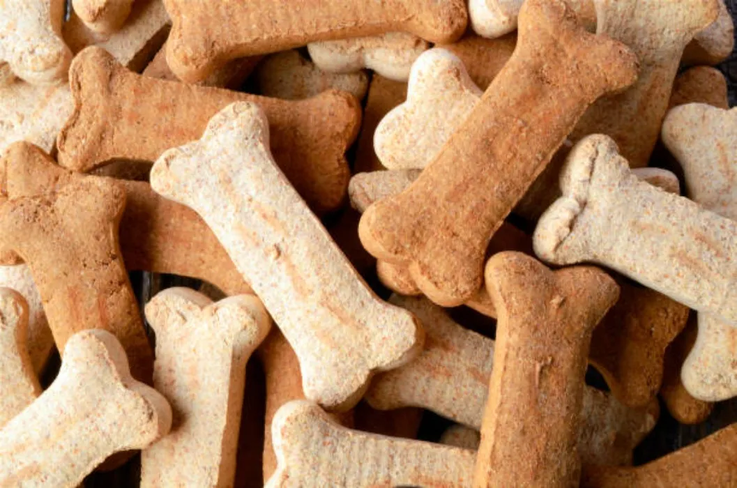 Alice's Treat Fund