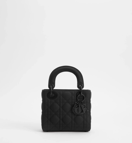 Mini Lady Dior Bag