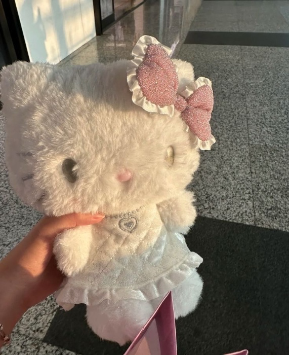 plushie gift