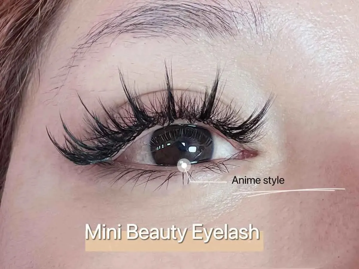 Lashes extension 