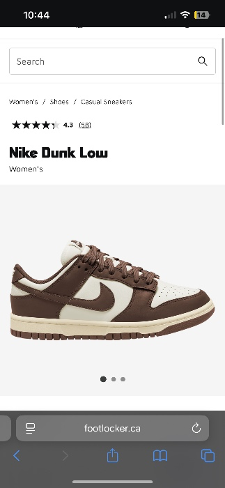 Nike Dunk Low