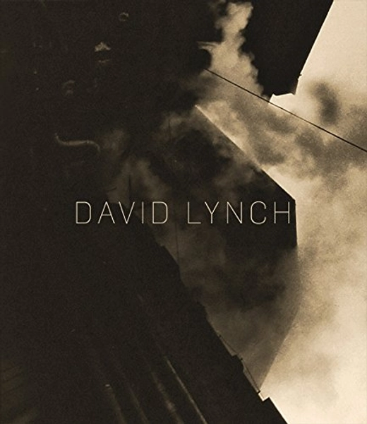 David Lynch: The Factory Photographs - Giloy-Hirtz, Petra: 9783791353333 - AbeBooks