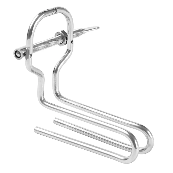 Speculum