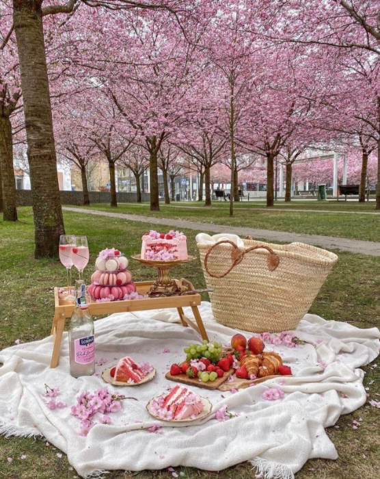 picnic 