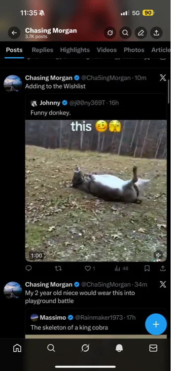 Rescue a donkey 