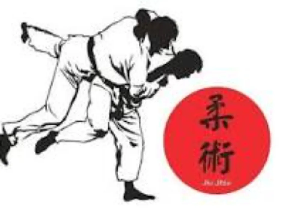 2026 dojo subscription