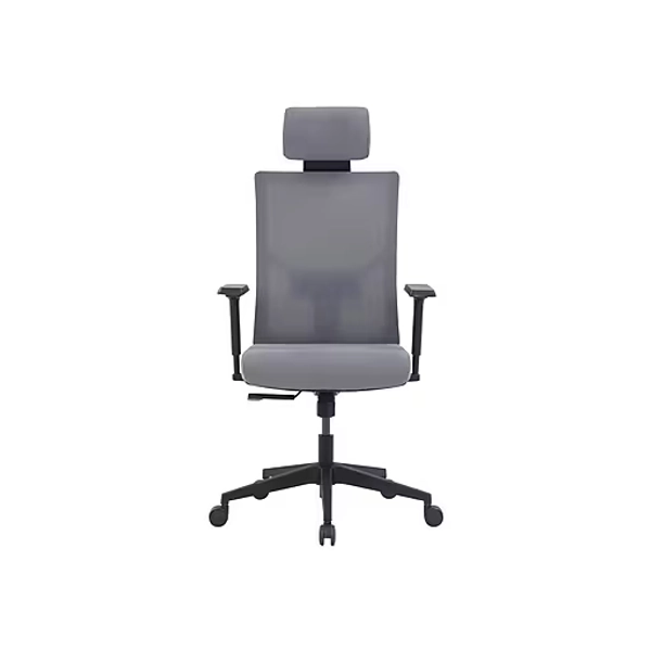 La-Z-Boy Mesh Back Molded Foam Computer and Desk Chair, Gray