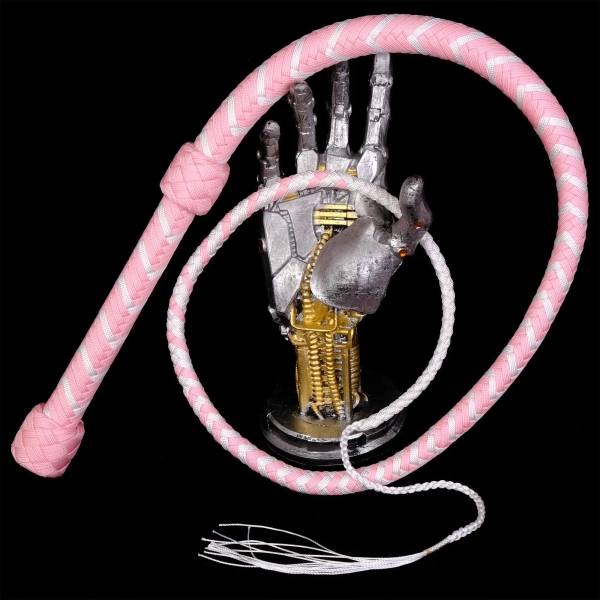 Pink Whip