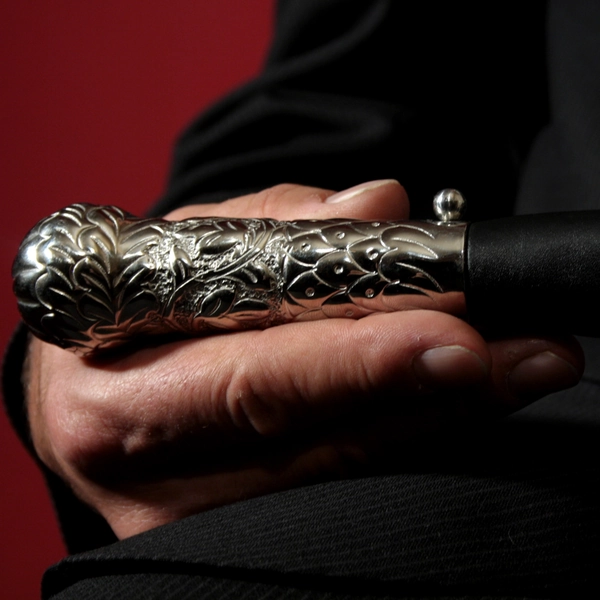 Argentinian Dragon Tongue Whip