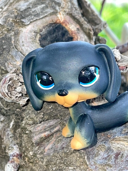 Littlest Pet Shop Custom Dachshund Eye Repaint